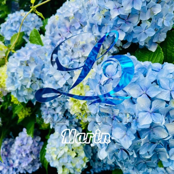 ☆このあと12時～☆