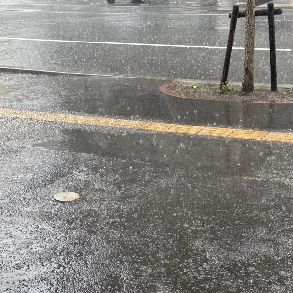 雨、、、、☔️