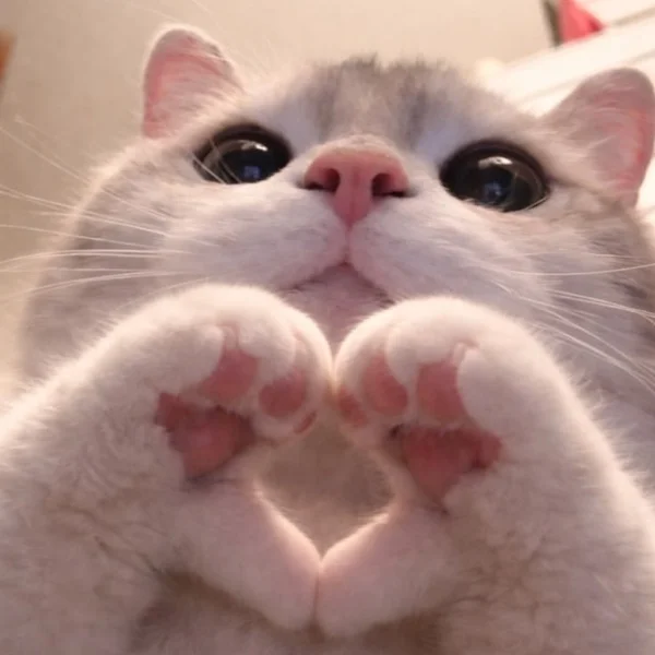 5月ありがとう💖