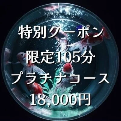 限定105分プラチナコース