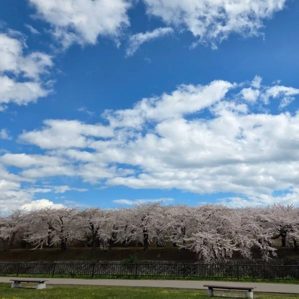 8日から出勤