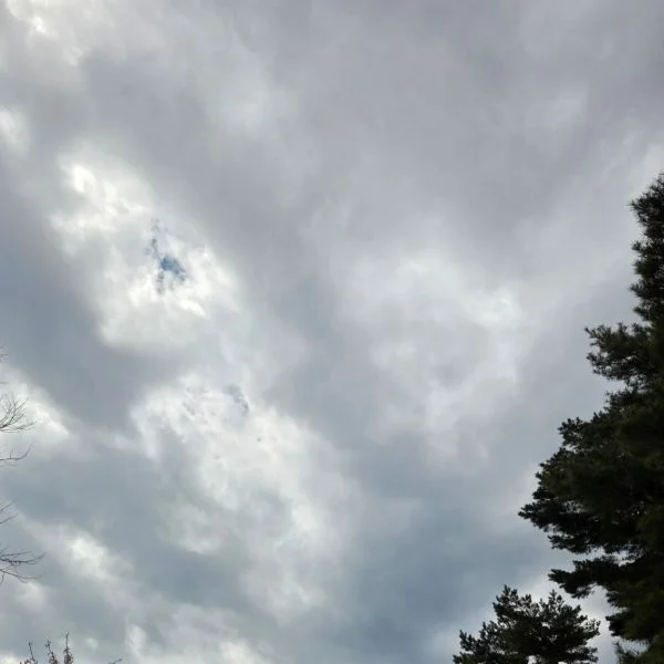 ありがとう
