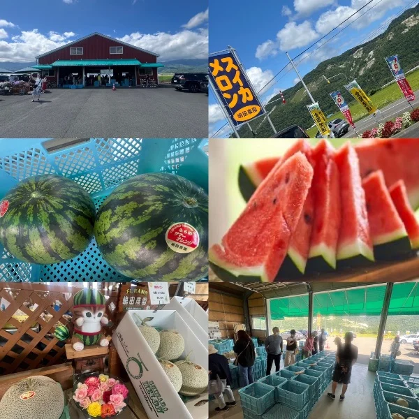 スイカの季節🍉