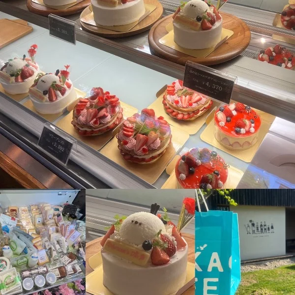 ご予約はお早めに🩷😘今がチャンス