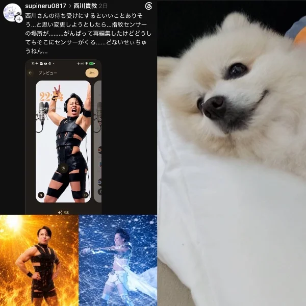 😂そうきたかw