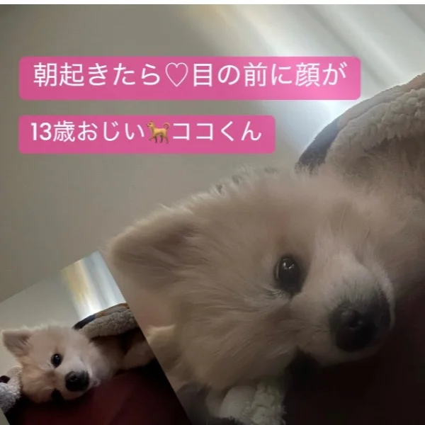 😘🩷癒されにきてねッ♡