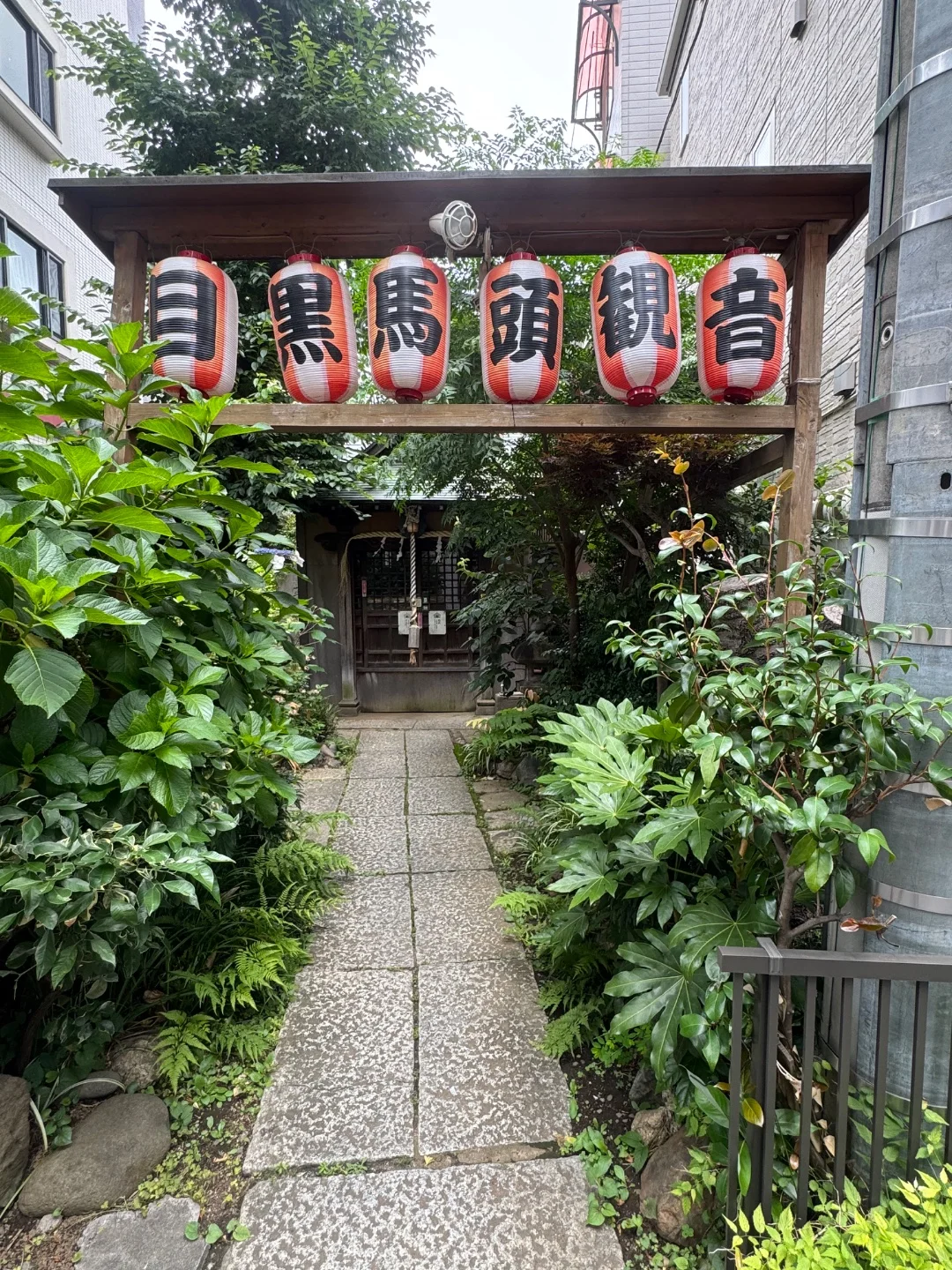 中目黒散歩🚶‍♀️
