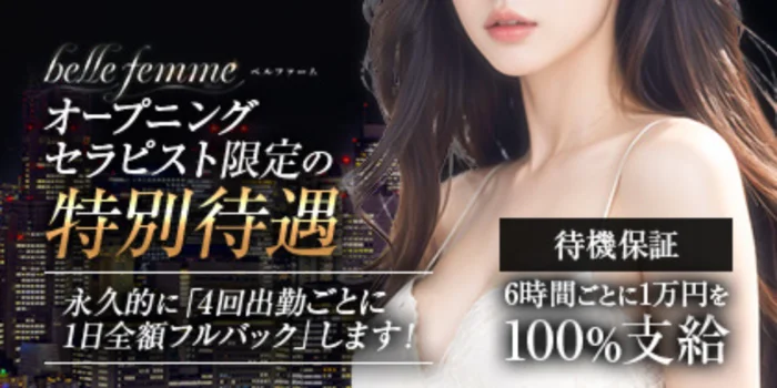 belle femme（ベルファーム）マット型コンセプトの求人募集イメージ2