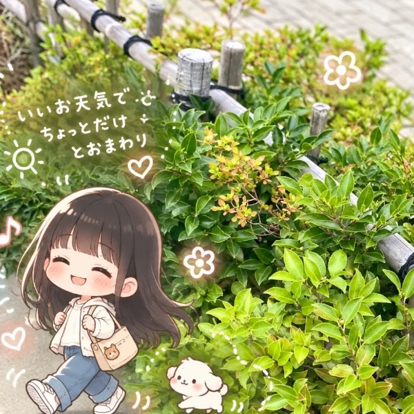 🥹☀️✨