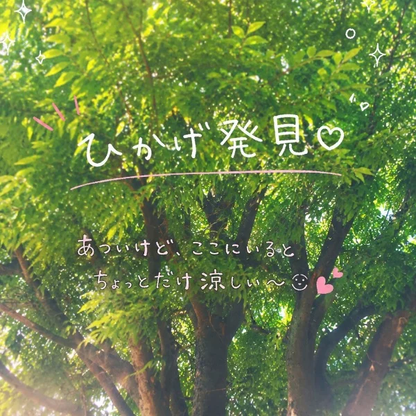 ひかげ発見🥹❣️