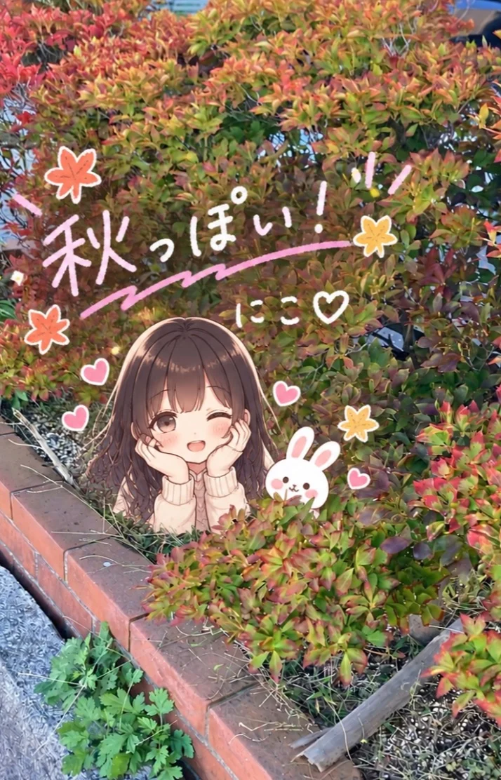 🍂🍁