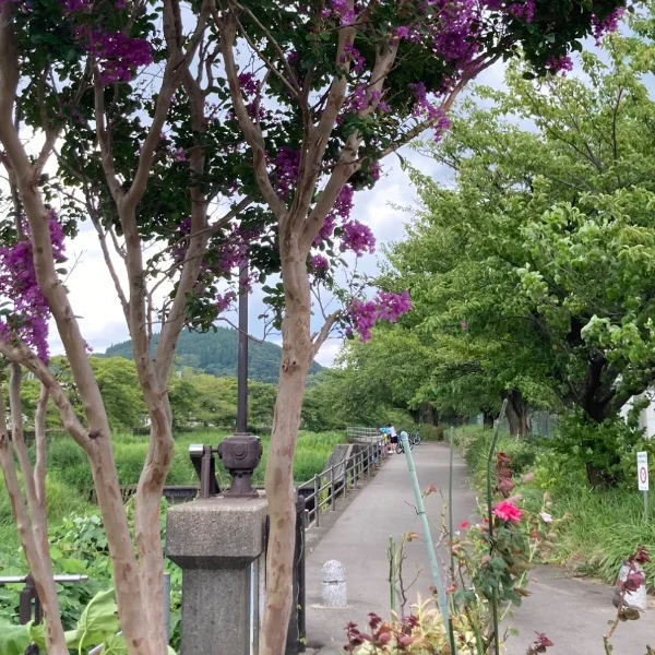 好き❣️