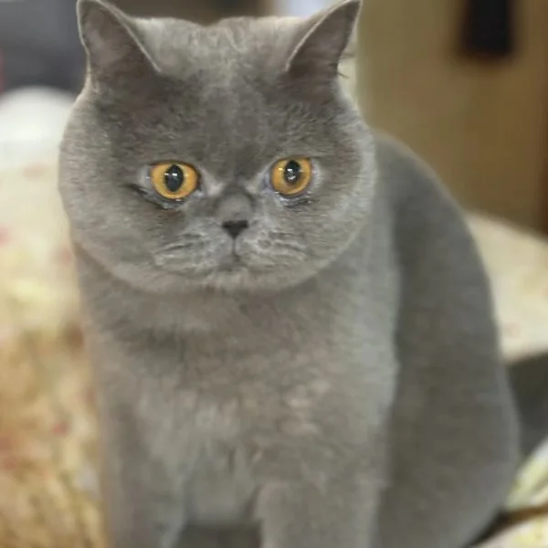 久しぶりの本指名様💓