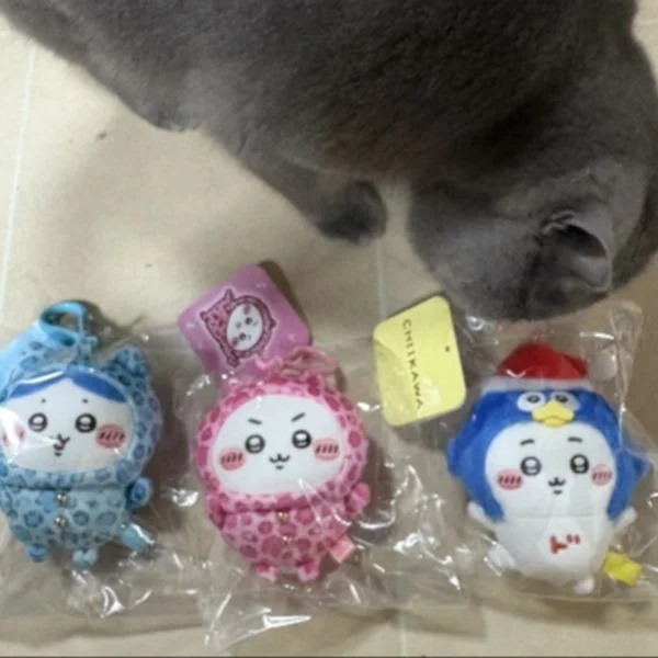 商品買えました✨