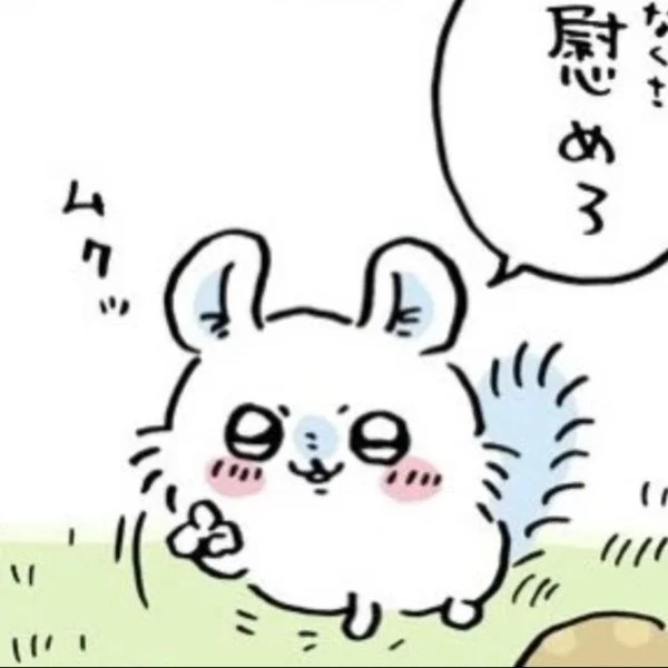昨日、