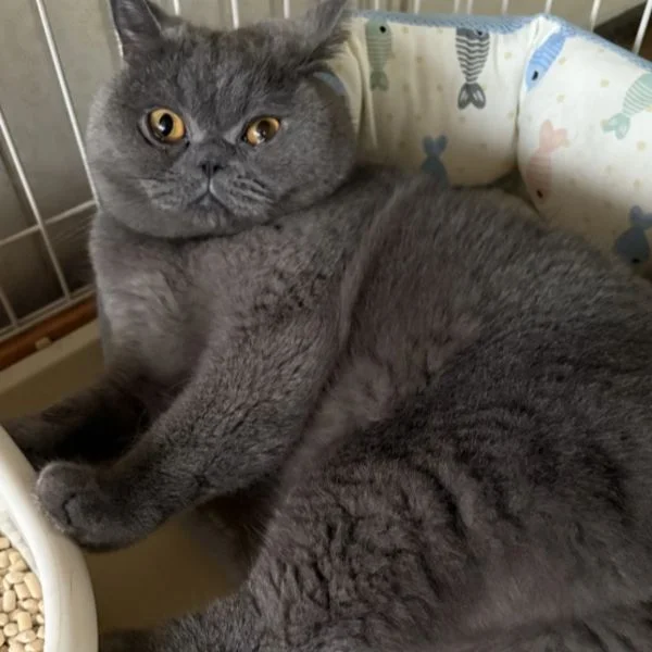 お盆休みも今日で終わりの方が多いかな⁉️