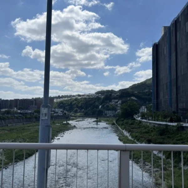 秋晴れのいい景色〜☁️☁️☁️
