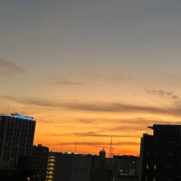 お知らせ📢