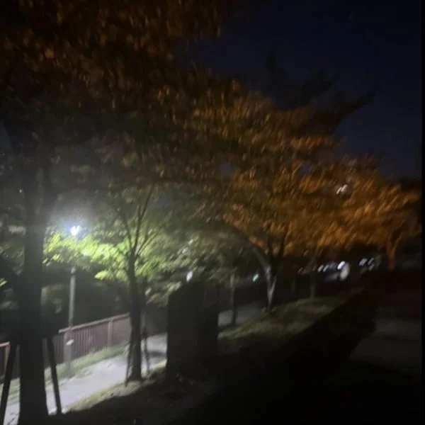 今日はお家でまったりしてる😙