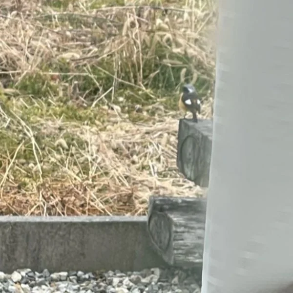 のんびり過ごしてます💭
