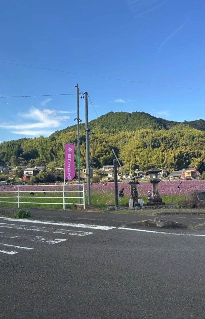 次回10月23日🫧