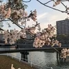 ​4月・新生活応援🌸のサムネイル