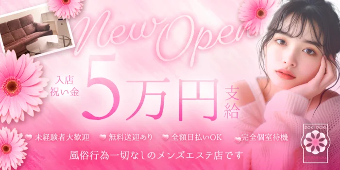 DOKIDOKI CARNIVAL【ドキドキカーニバル】の求人募集イメージ