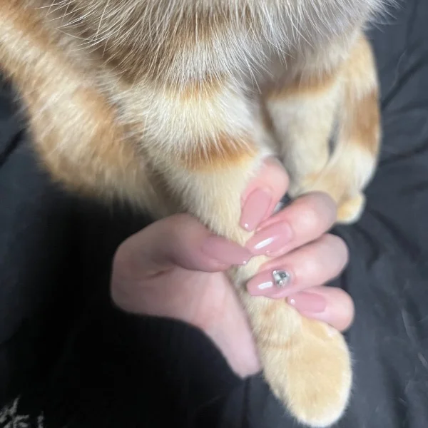 本日17時から出勤してます❣️