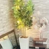 週1日～・短時間でもしっかり稼げます✨のサムネイル
