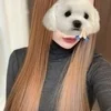 レイ