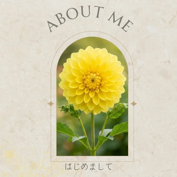 はじめまして♪  🌼だりあ🌼です(^ ^)
