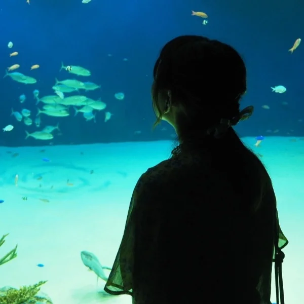 水族館行ってきたよ🐟🫧