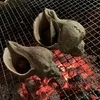 本格的に！！のサムネイル