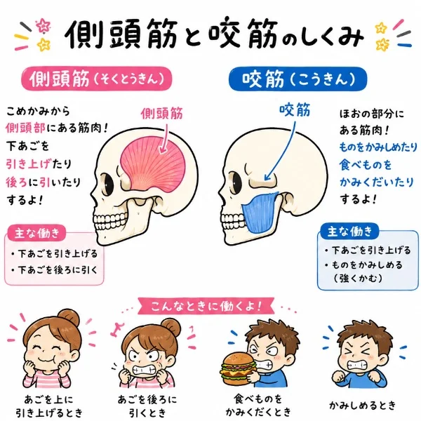 ♡少し真面目なお話♡