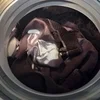 🍁昨今の風潮に疲れていませんか？のサムネイル