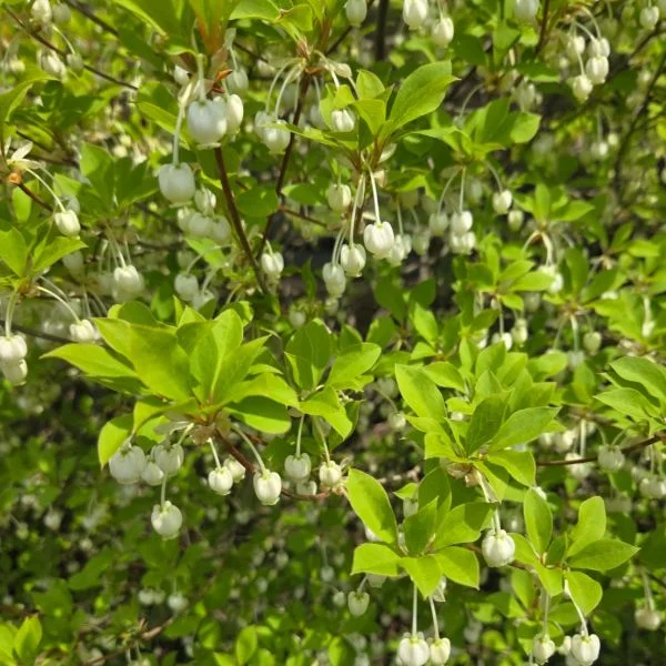 次回は日曜日に出勤します🌸