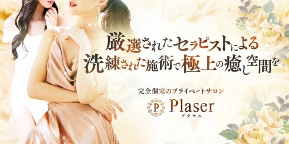 Plaser(プラセル)のカバー画像
