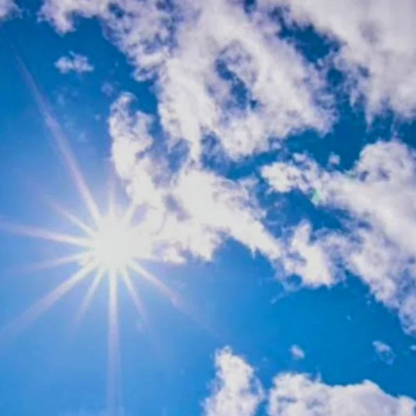 出勤しました♪
