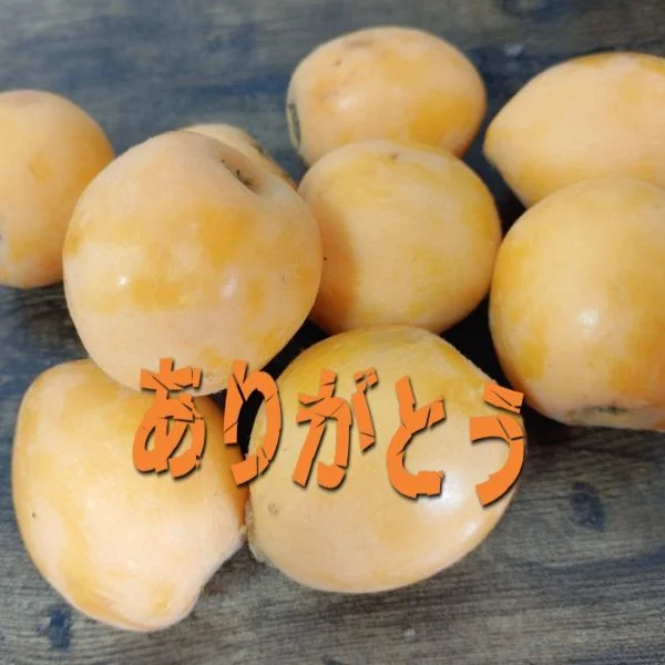 お礼です♪