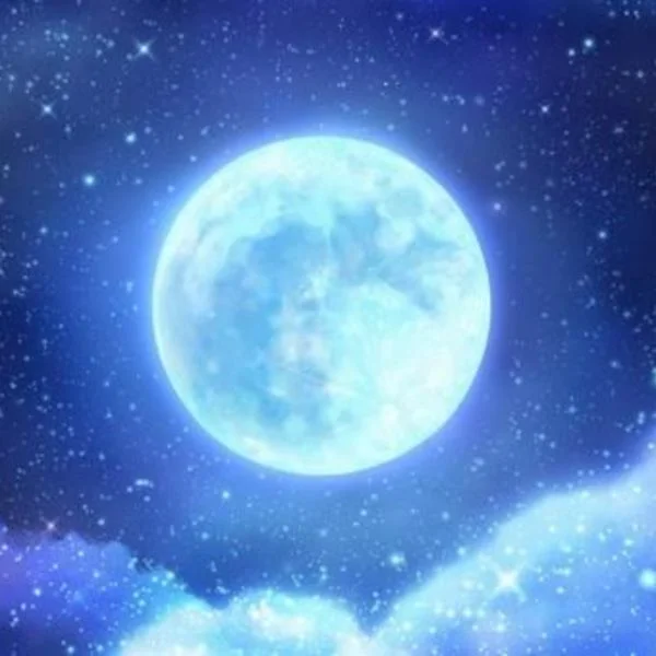 お疲れ様です⸜(*´꒳`*)⸝
