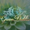 Green Dahlia　グリーンダリア