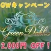 Green Dahlia　グリーンダリア