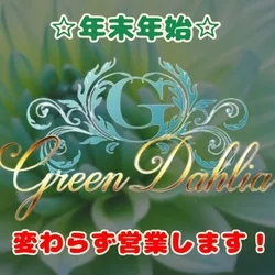 Green Dahlia　グリーンダリア