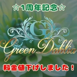 Green Dahlia　グリーンダリア