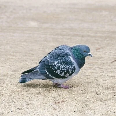 10/22(水)freeコース本日もありがとうございました☆