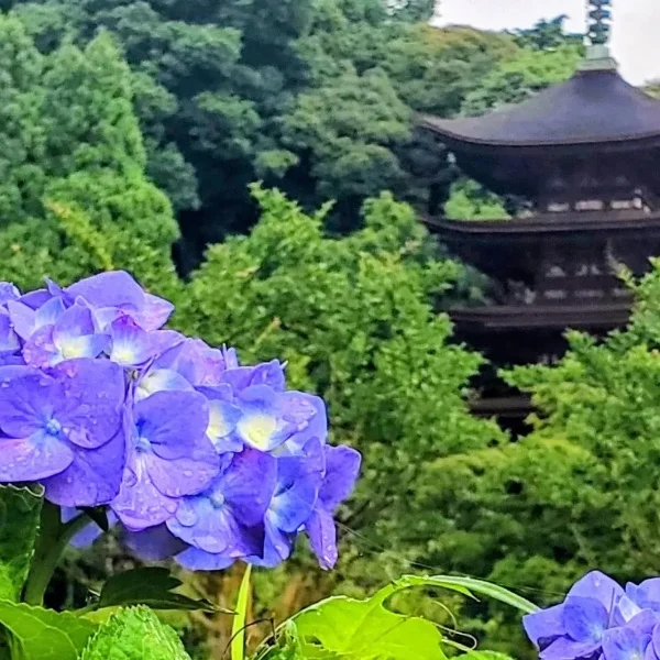K様