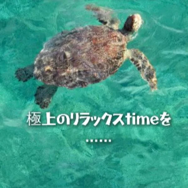 今日は12:00から癒やしありんす(﹡ˆ﹀ˆ﹡ )✨