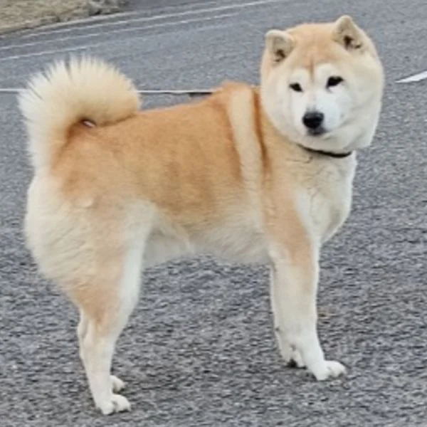 天気がね～(　　´　・ω・　｀　　)
