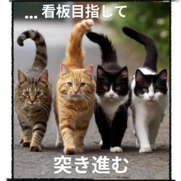 火曜日(*˘⌣˘*)ﾘﾗｯｸｽ💭