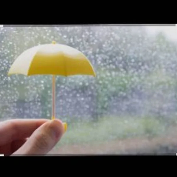月曜日( ‾̑ω‾̑)੭☂️